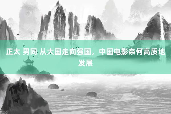 正太 男同 从大国走向强国，中国电影奈何高质地发展