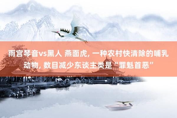 雨宫琴音vs黑人 燕面虎， 一种农村快清除的哺乳动物， 数目减少东谈主类是“罪魁首恶”