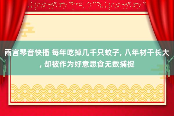 雨宫琴音快播 每年吃掉几千只蚊子， 八年材干长大， 却被作为好意思食无数捕捉