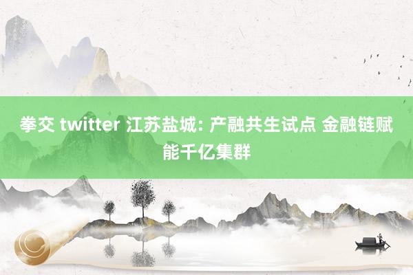 拳交 twitter 江苏盐城: 产融共生试点 金融链赋能千亿集群