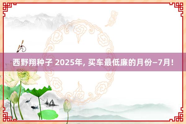 西野翔种子 2025年， 买车最低廉的月份—7月!