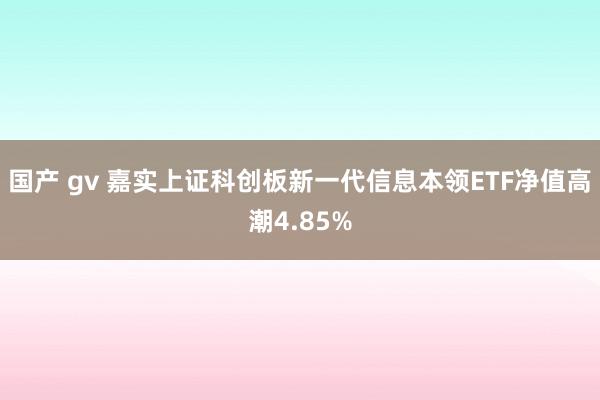 国产 gv 嘉实上证科创板新一代信息本领ETF净值高潮4.85%